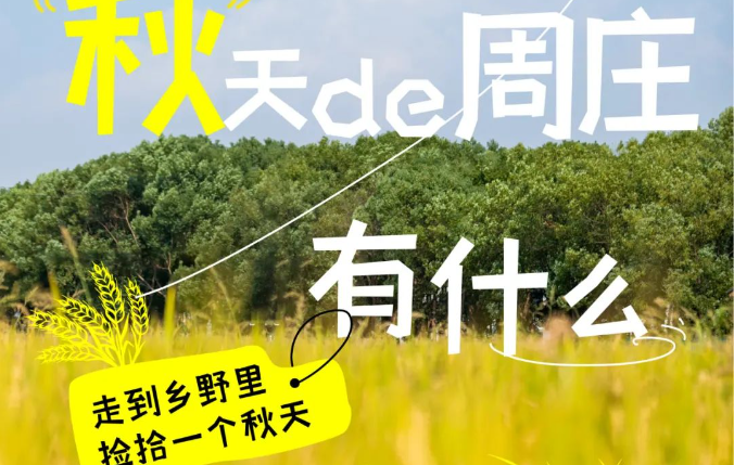 豐收季丨走到香村里，拾撿一個(gè)秋天。 